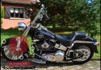 Softail Fat Boy 2004 Skull