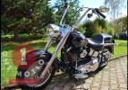 Softail Fat Boy 2004 Skull