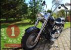 Softail Fat Boy 2004 Skull