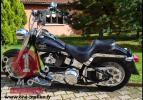 Softail Fat Boy 2004 Skull