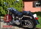 Softail Fat Boy 2004 Skull