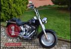 Softail Fat Boy 2004 Skull