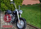 Softail Fat Boy 2004 Skull