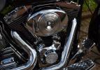 Softail Fat Boy 2004 Skull
