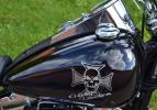 Softail Fat Boy 2004 Skull