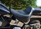 Softail Fat Boy 2004 Skull