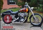 FXR 1982 Shovelhead 1340cc