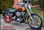 FXR 1982 Shovelhead 1340cc