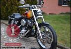 FXR 1982 Shovelhead 1340cc