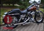 FXR 1982 Shovelhead 1340cc