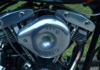 FXR 1982 Shovelhead 1340cc