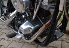 FXR 1982 Shovelhead 1340cc