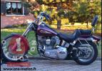 Softail Standard FXST Evo 1984