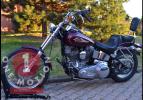 Softail Standard FXST Evo 1984