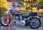 Softail Standard FXST Evo 1984