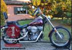 Softail Standard FXST Evo 1984