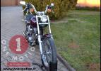 Softail Standard FXST Evo 1984