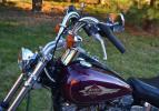 Softail Standard FXST Evo 1984