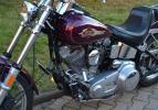 Softail Standard FXST Evo 1984