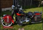 Harley Davidson Softail Springer 05
