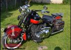 Harley Davidson Softail Springer 05